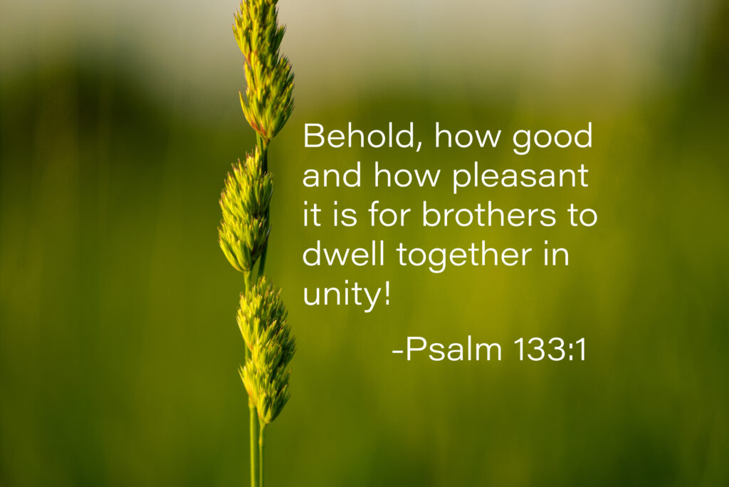 worship services image: Behold, how good and how pleasant it is for brothers to dwell together in unity! - Psalm 133:1